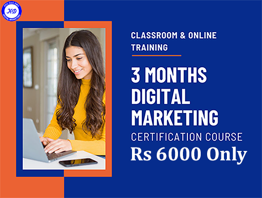 Classroom and online training 3 months digital marketing certification course
